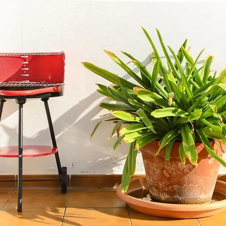 Luis Iii Πουέρτο Ντελ Κάρμεν